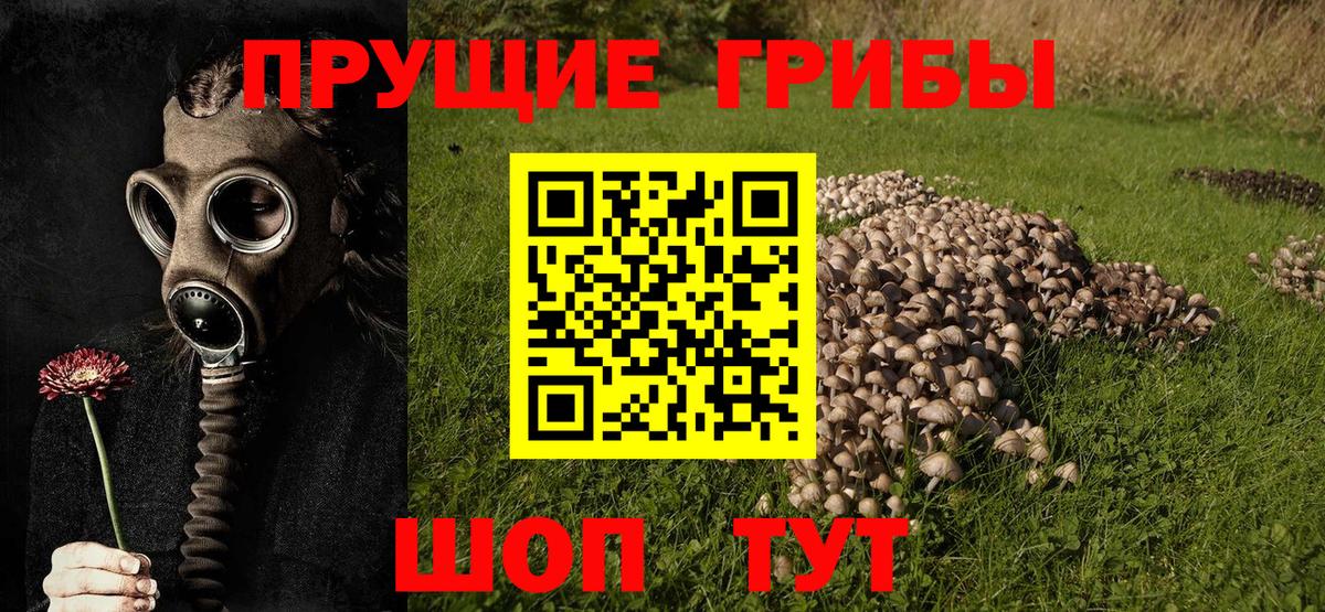 Галлюциногенные грибы ЛСД  Вход с VPN  Волхов 