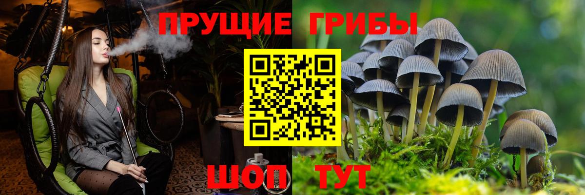 Галлюциногенные грибы мицелий Волхов